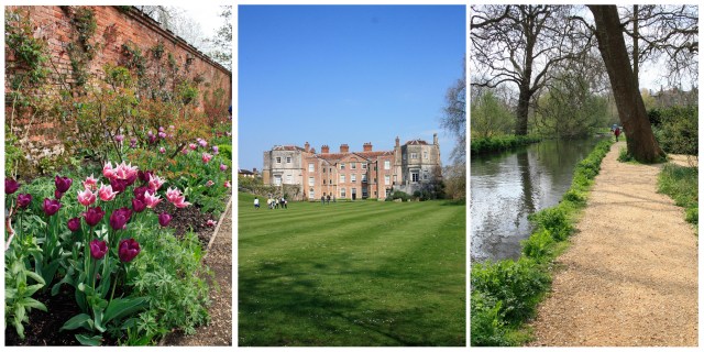 mottisfont1
