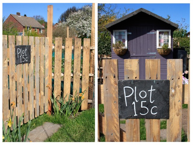 plot15c