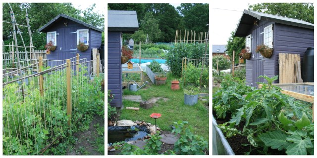 plot15c