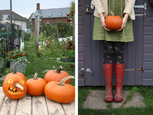 pumpkins2