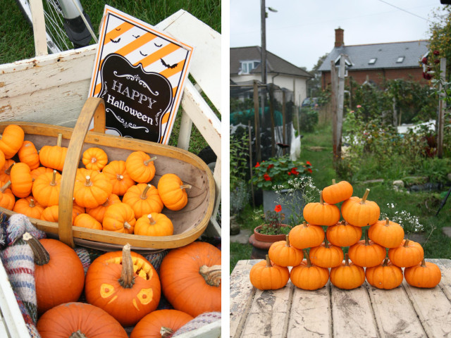 pumpkins