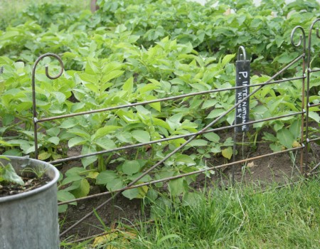 Border Edging