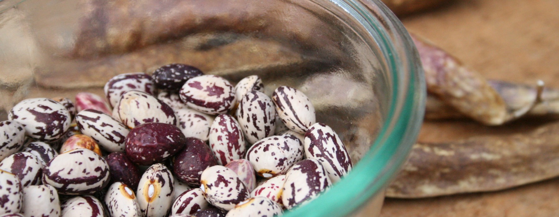 Borlotto Beans