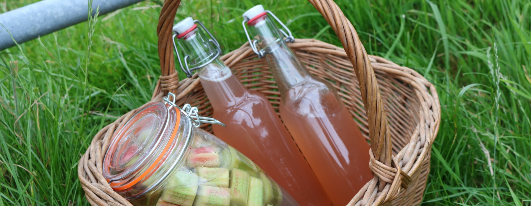 Rhubarb Gin and Rhubarb Cordial