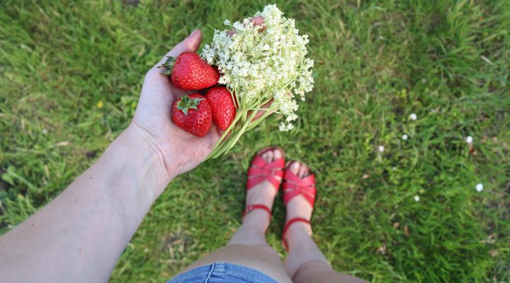 Strawberry and Elderflower Cordial
