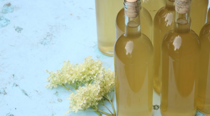 Elderflower Champagne