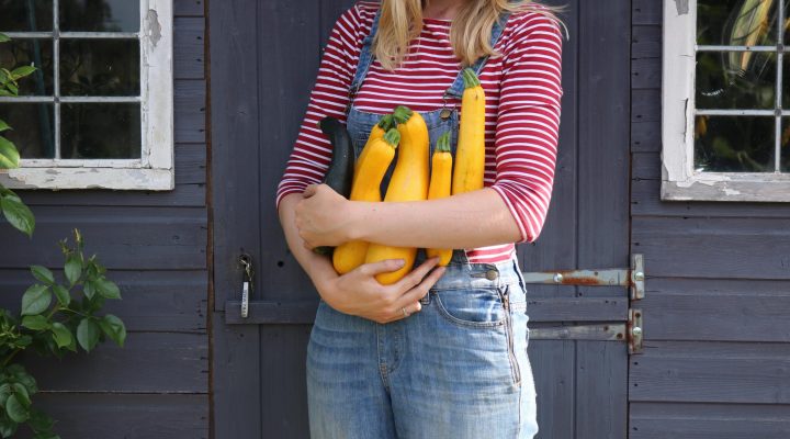 Happy Harvests