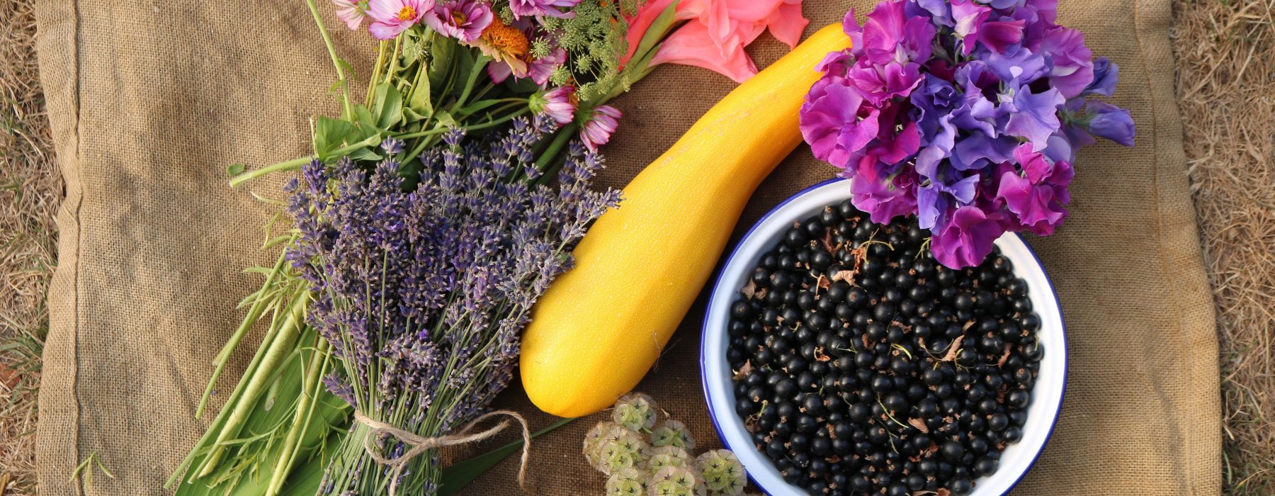 A Happy Harvest