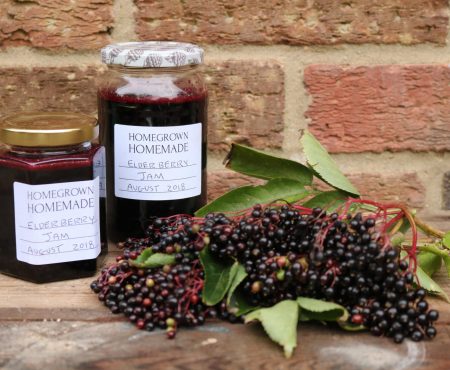 Elderberry Jam