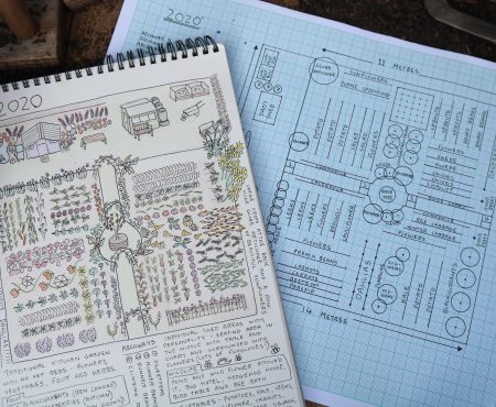 Allotment Plan 2020
