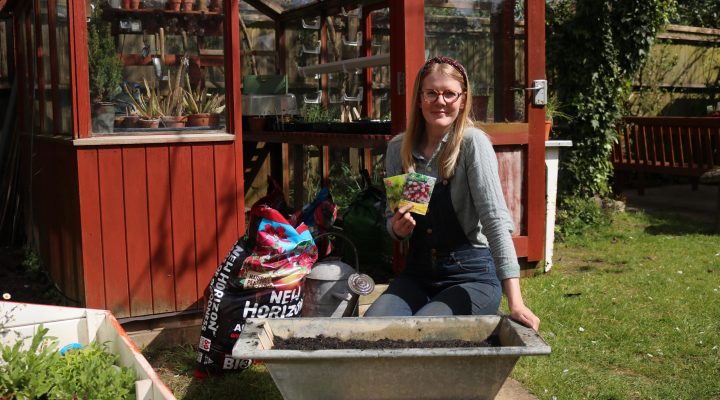 Grow your own in Containers